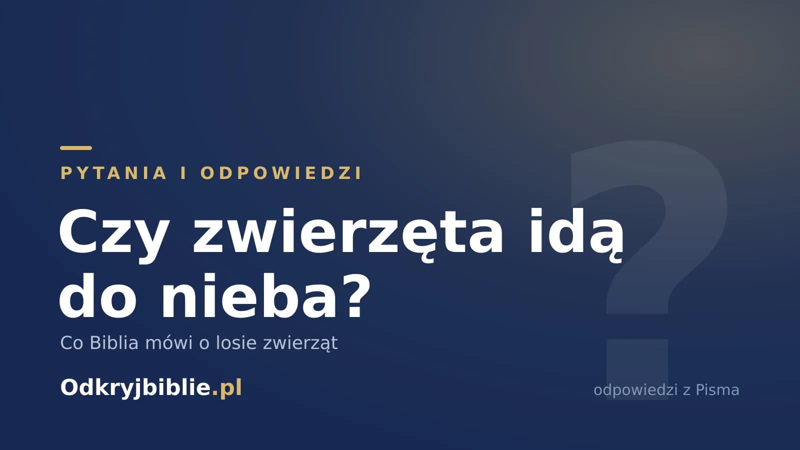 Czy zwierzęta idą do nieba? Co Biblia mówi o losie zwierząt