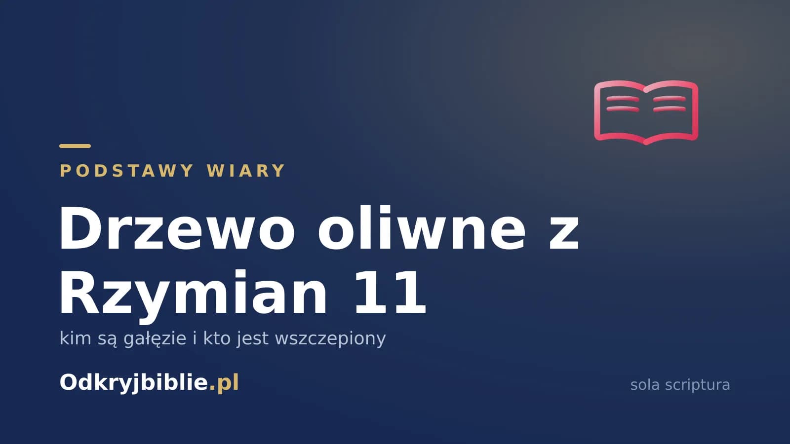Drzewo oliwne z Rzymian 11 — kim są gałęzie i kto jest wszczepiony