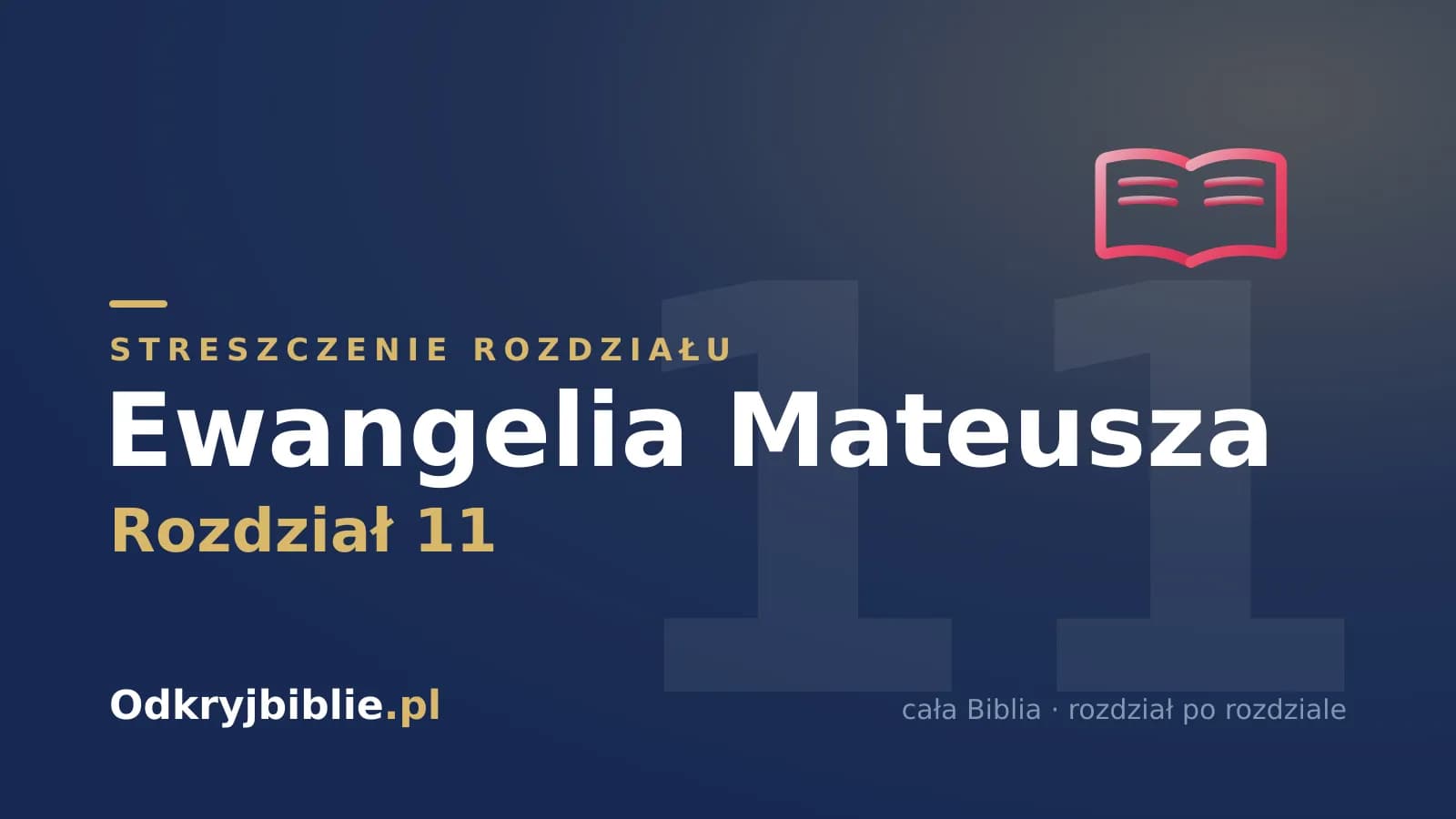 Ewangelia Mateusza 11 — streszczenie rozdziału