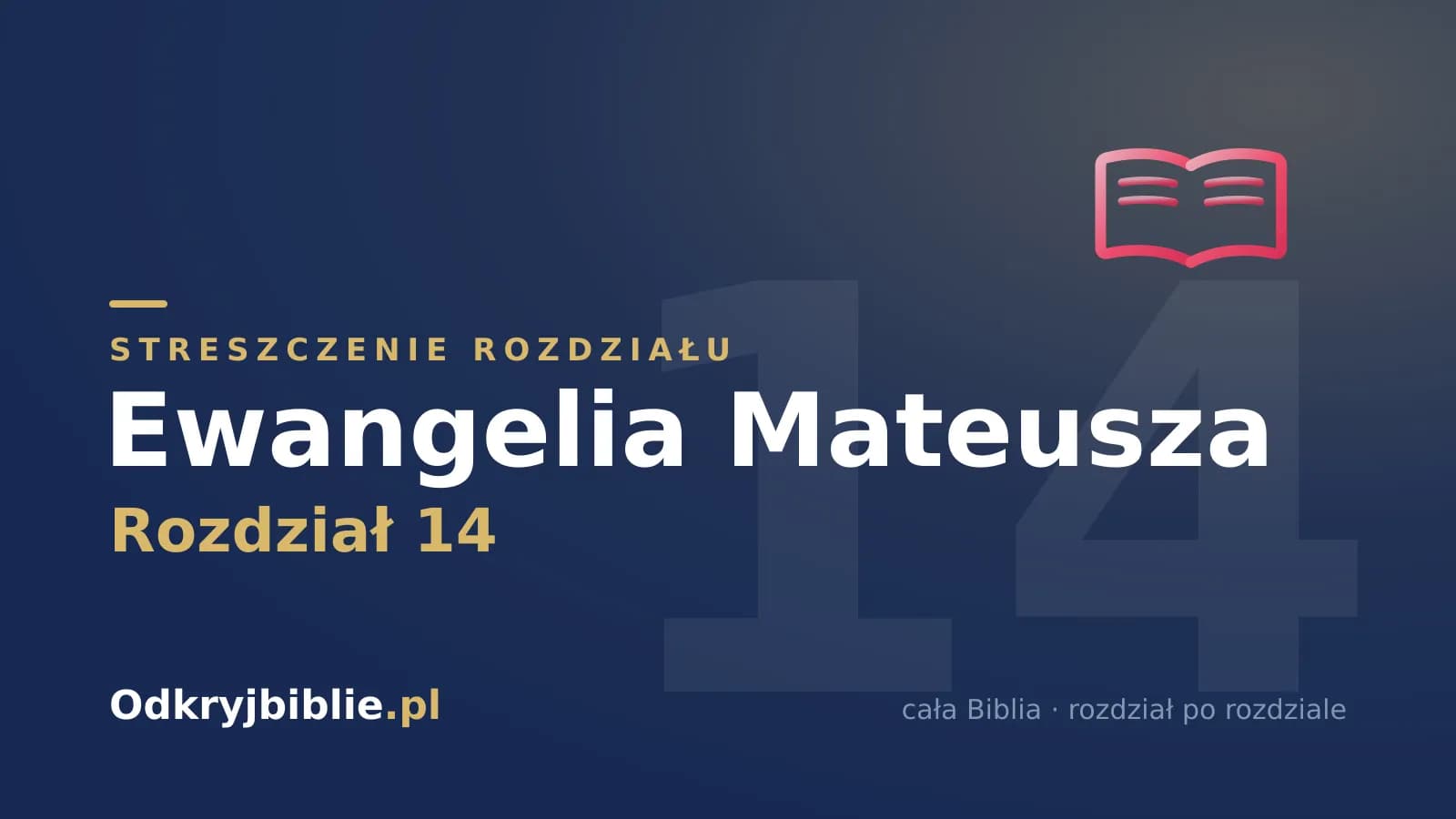 Ewangelia Mateusza 14 — streszczenie rozdziału