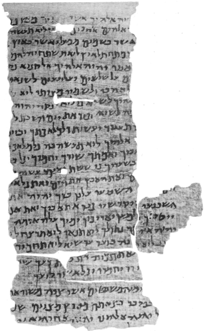 Papirus Nash