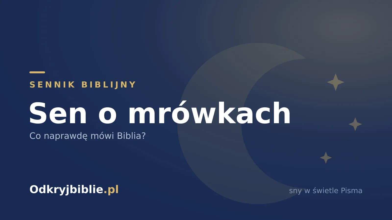 Sen o mrówkach — co naprawdę mówi Biblia?