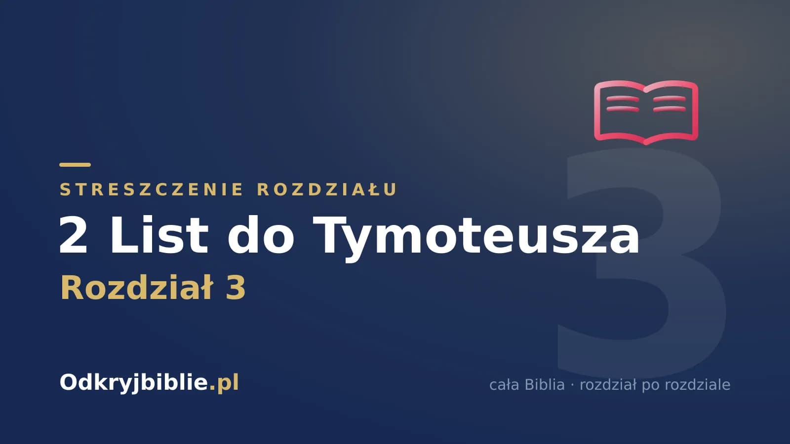 2 List do Tymoteusza 3 — streszczenie rozdziału