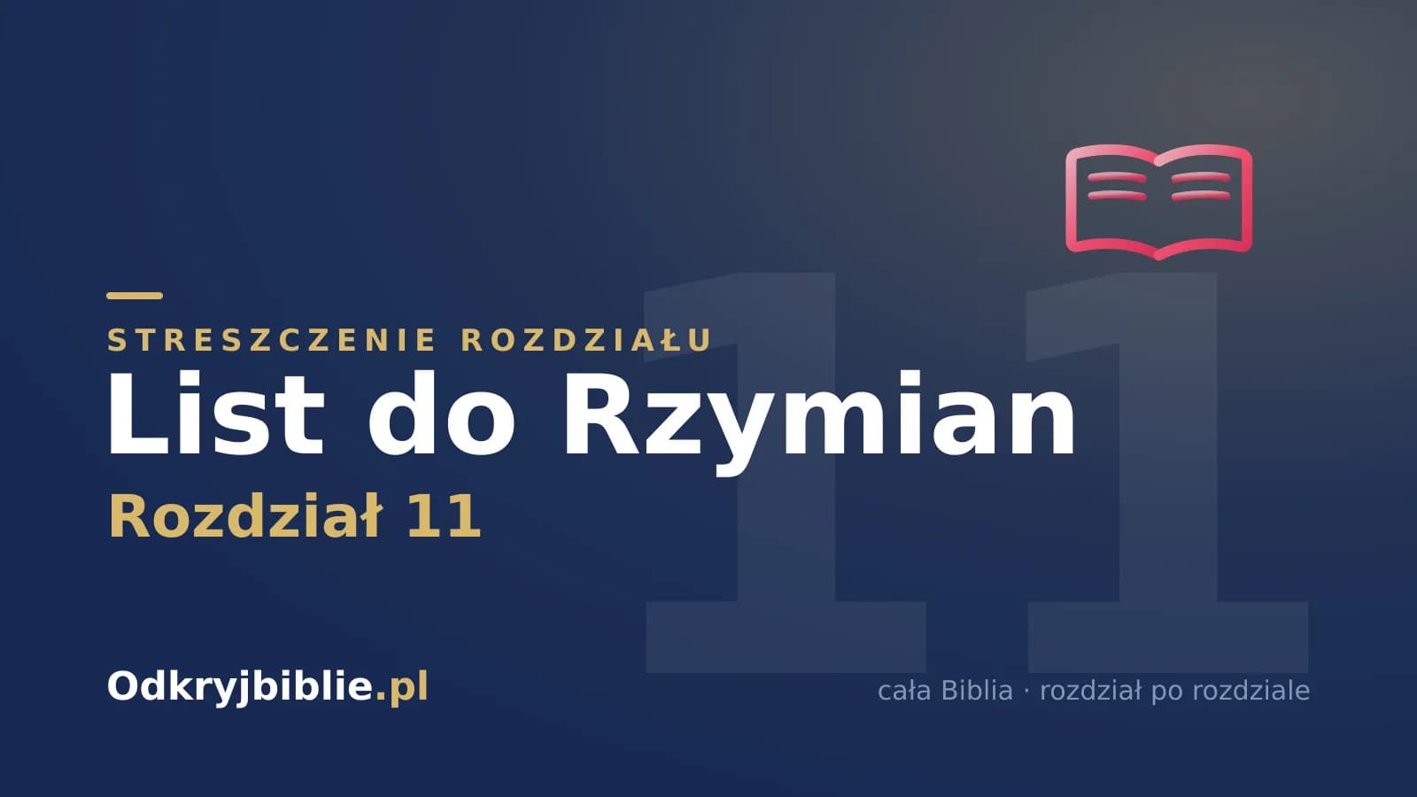 List do Rzymian 11 — streszczenie rozdziału