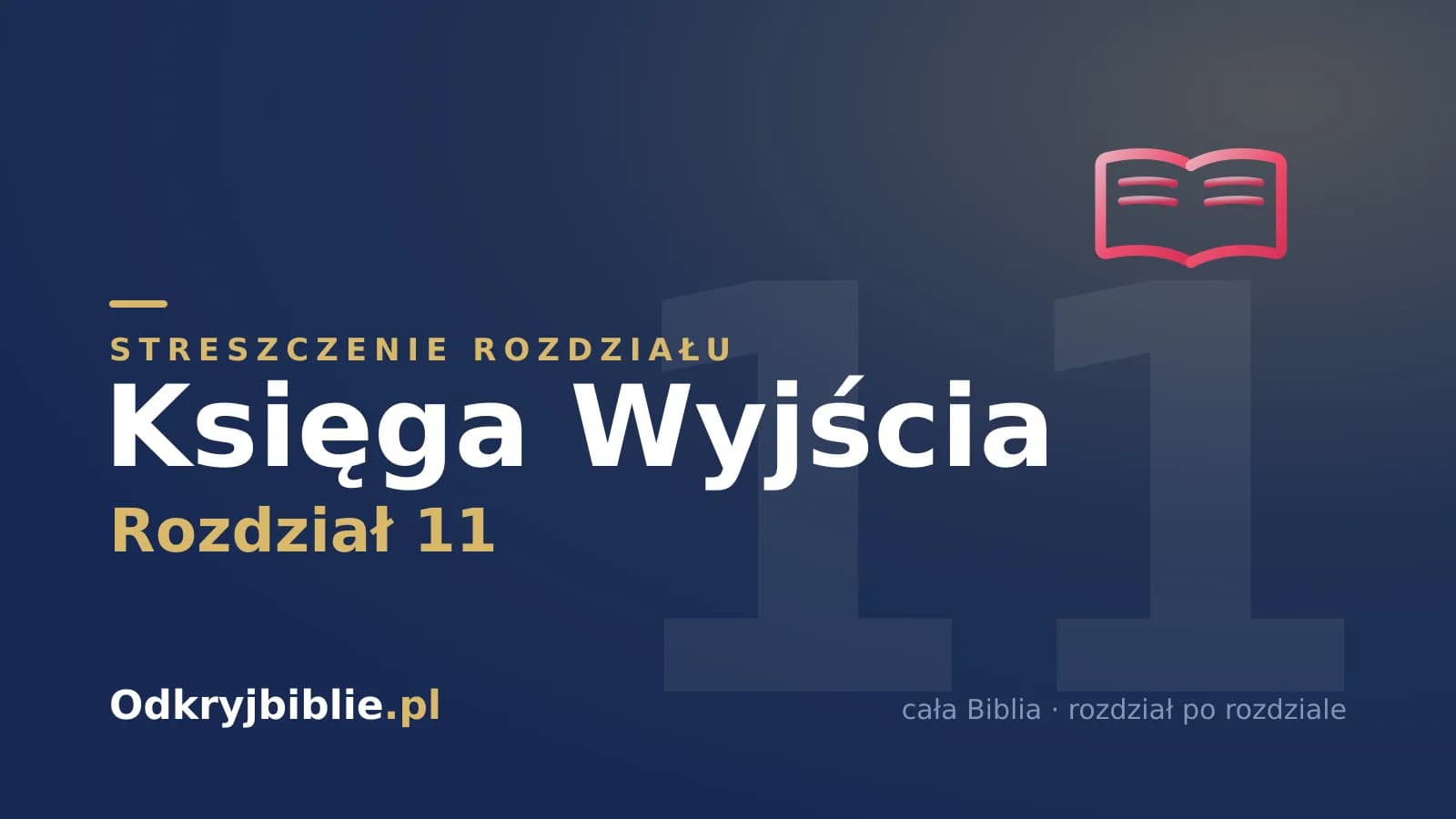 Księga Wyjścia 11 — streszczenie rozdziału